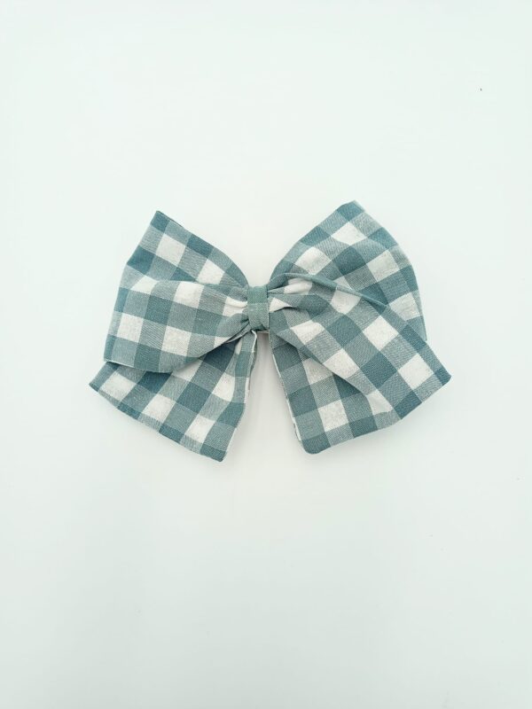 vichy grande verde