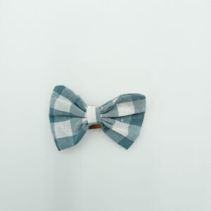 vichy mint