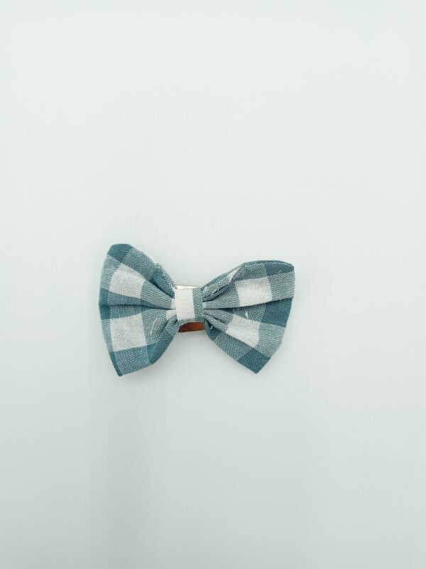 vichy mint